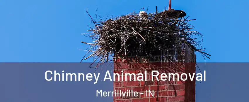 Chimney Animal Removal Merrillville - IN