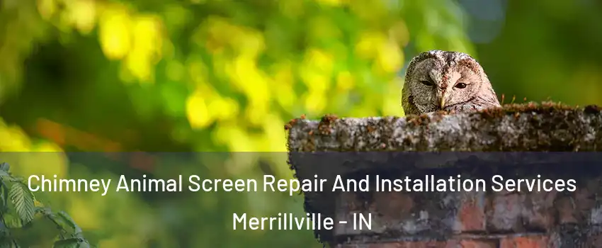  Chimney Animal Screen Repair And Installation Services Merrillville - IN