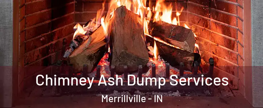  Chimney Ash Dump Services Merrillville - IN