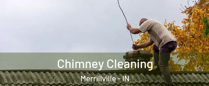  Chimney Cleaning Merrillville - IN