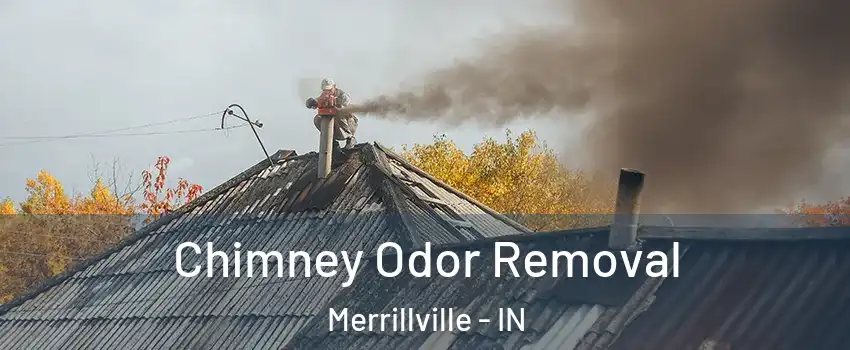  Chimney Odor Removal Merrillville - IN