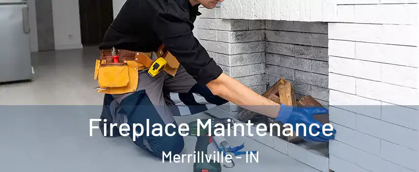  Fireplace Maintenance Merrillville - IN