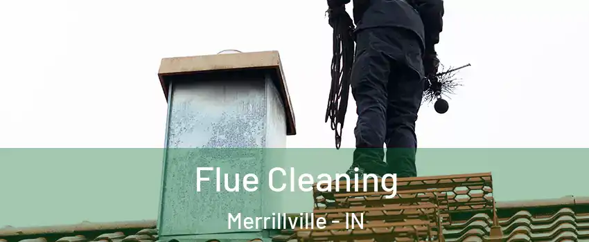  Flue Cleaning Merrillville - IN