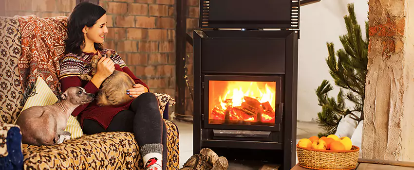 Wood Stove Chimney Cleaning Services in Merrillville, IN