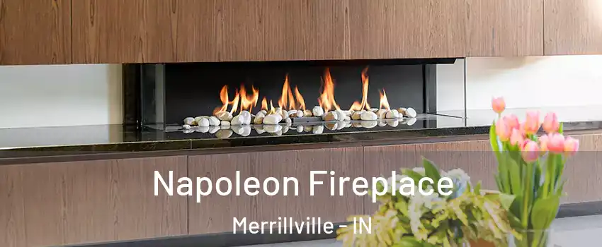  Napoleon Fireplace Merrillville - IN