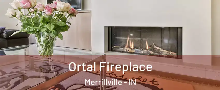 Ortal Fireplace Merrillville - IN